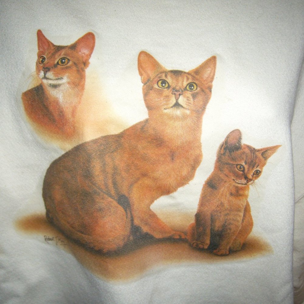 Abyssinian sweatshirt painted by Robert May
